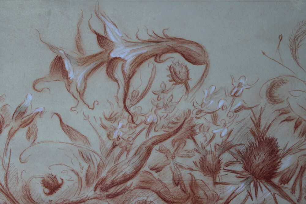 CULTIVATORS OF LIFE: Growing Seedbeds of Knowledge