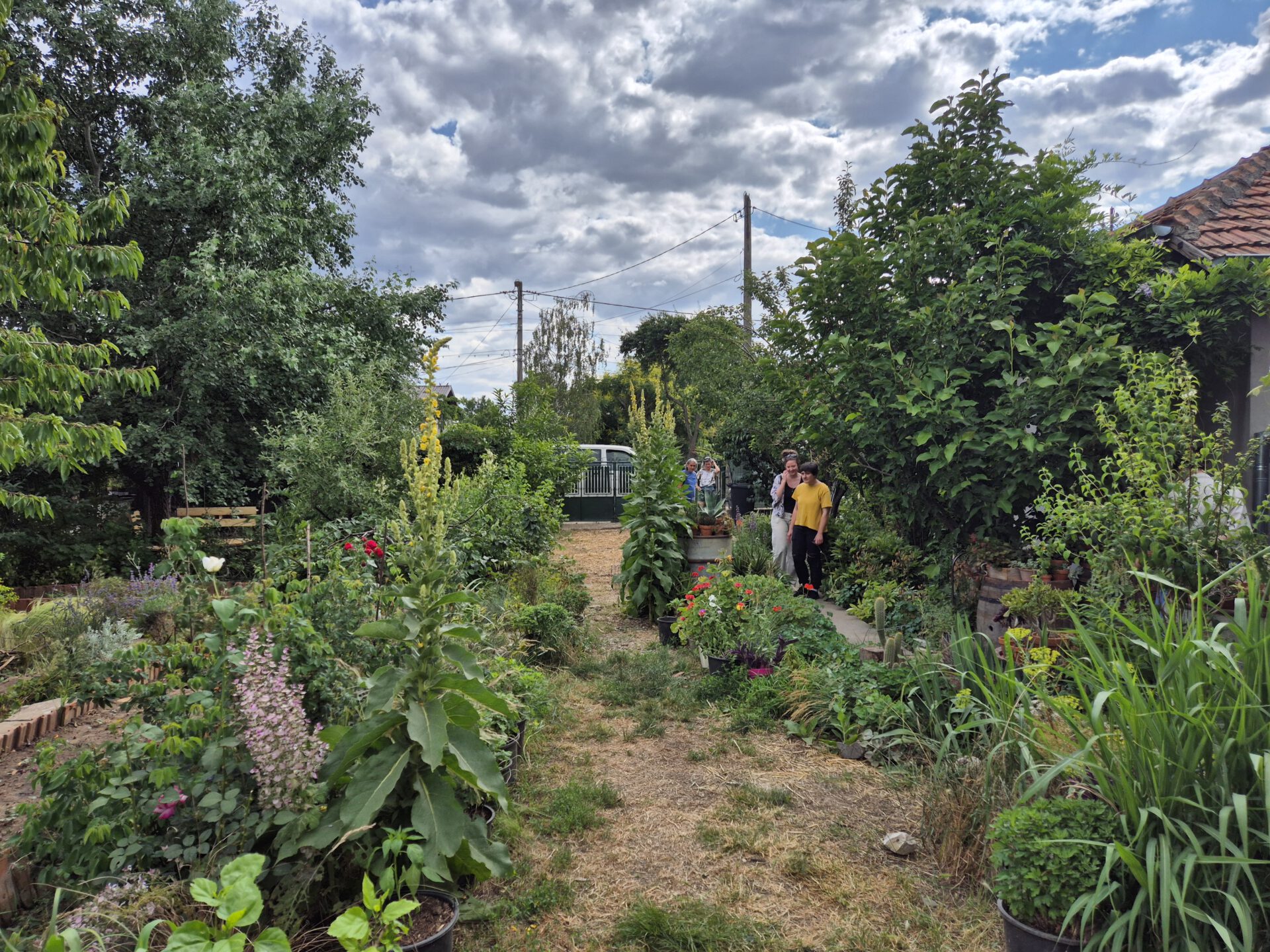 Üppiger Gemeinschaftsgarten mit Blumenbeeten, Topfpflanzen und einem Kiesweg, der zu einem Tor führt; drei Personen stehen zwischen dem Grün.