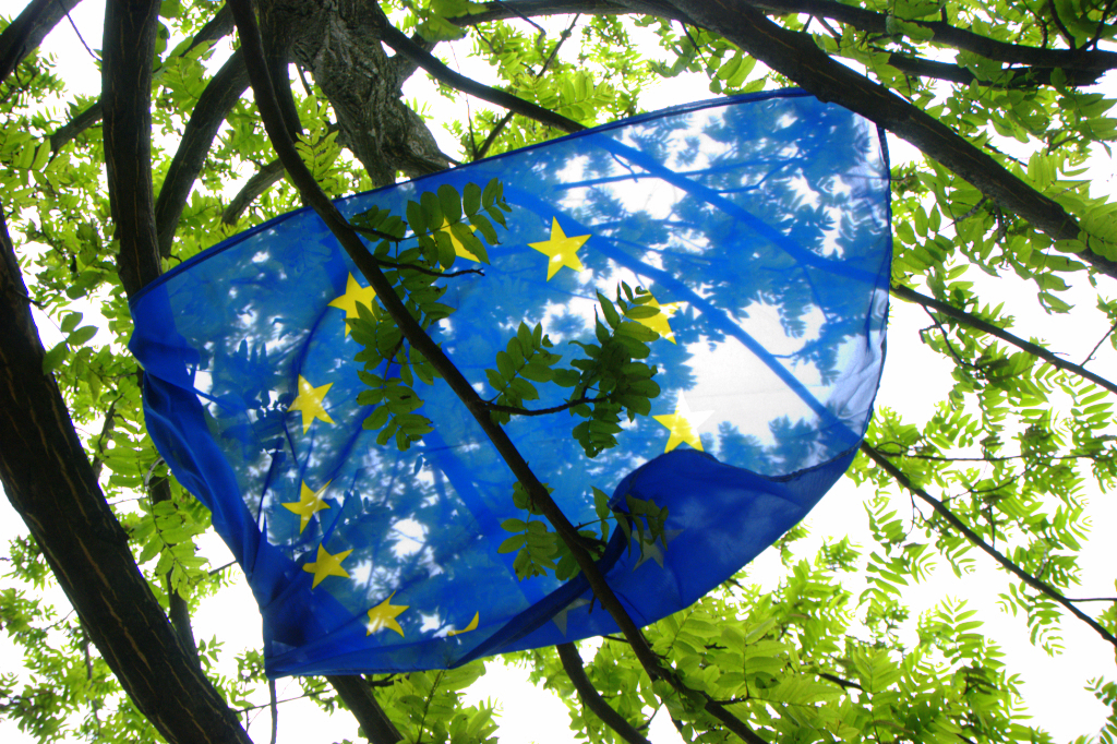 European flag surrounded by green foliage