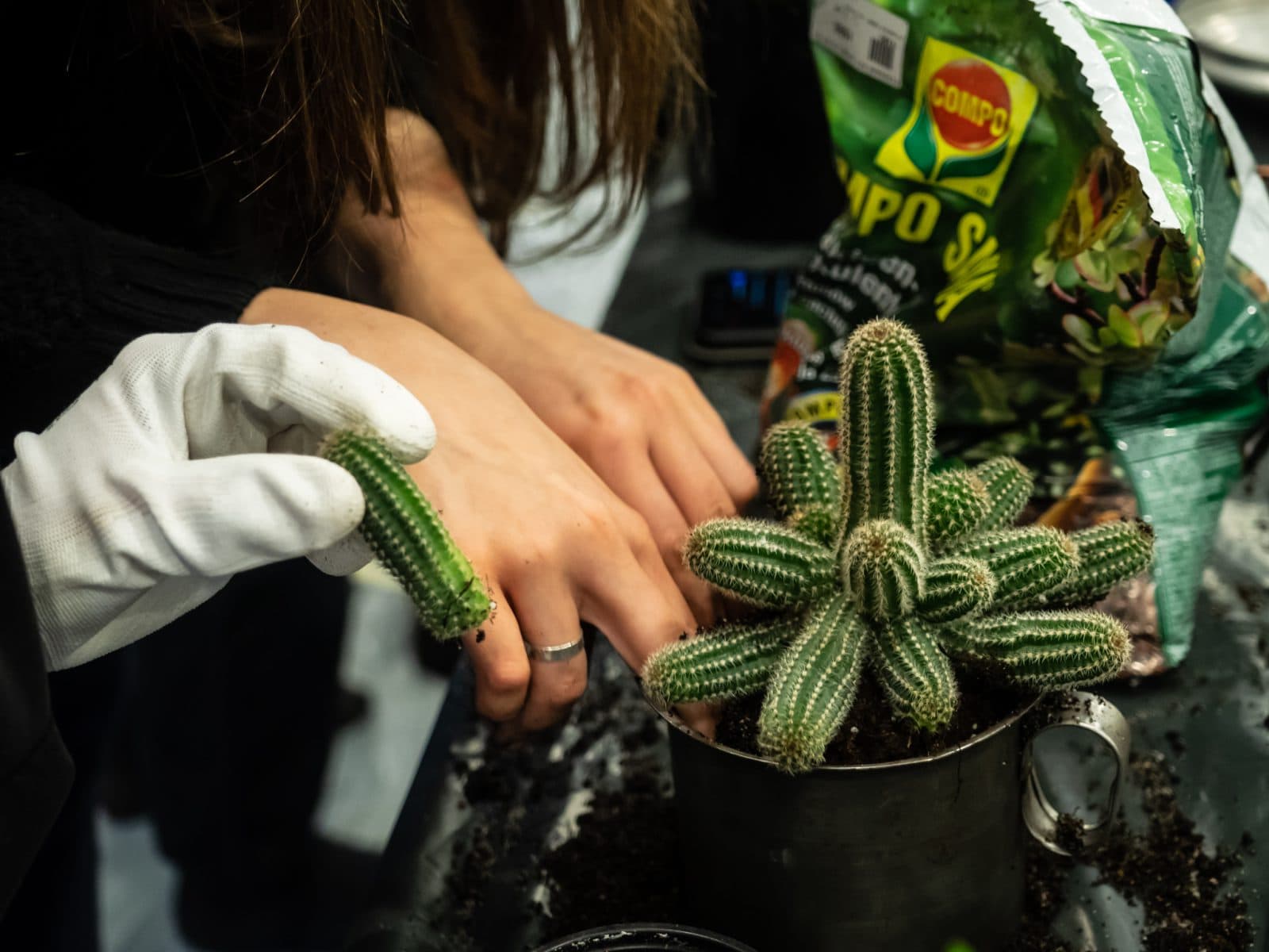 Image from the preparatory workshop with the students on 2 December 2021. Photo: Anna Vörös