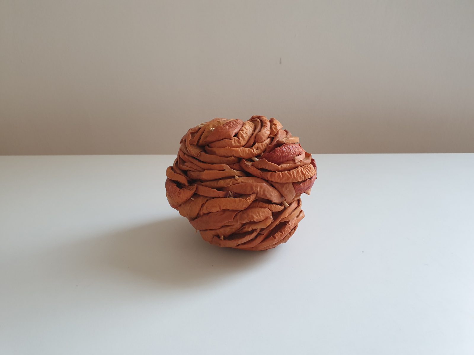An apple made from dried apples, lend to the exhibition by artist Martin Piacek, to accompany a short film from his countryside initiative, The Rajka orchard.