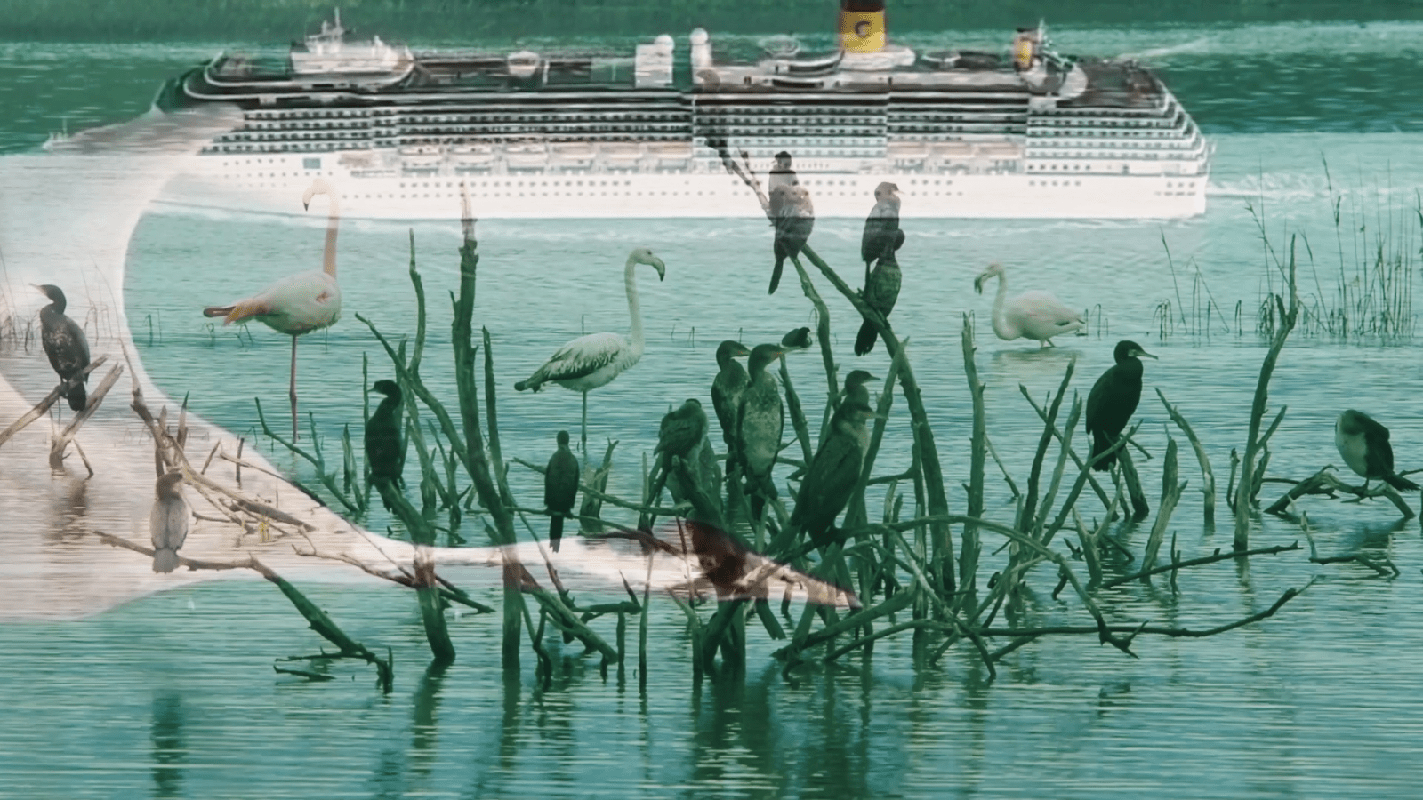 Anthropomorphic Trouble by Goda Palekaitė & Adrijana Gvozdenović with Teresa Cos (video and sound editing). Video still (2021, 17 mins). Commissioned by Arts Catalyst in collaboration with Delfina Foundation and Whitechapel Gallery.